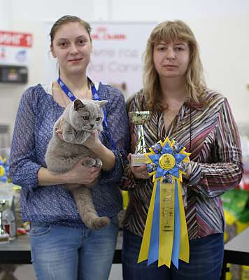   11-12  2015 WCF- 5-93-169A5381 copy.jpg